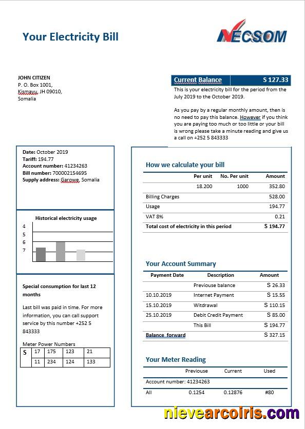 Somalia NESCOM electricity bill